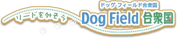 富士のドッグラン犬と泊るキャンプ場Dog Field合衆国